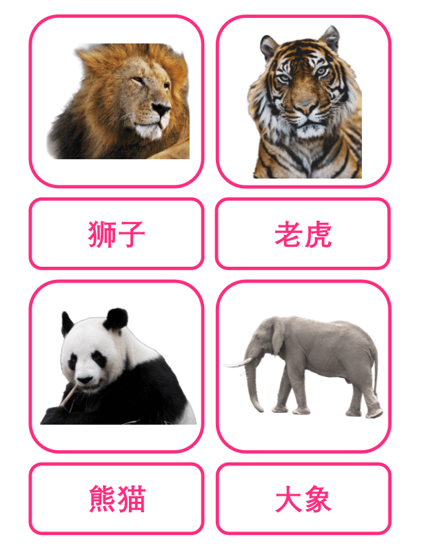 Chinese Flash Cards: Animals