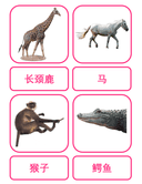 Chinese Flash Cards: Animals thumbnail 3