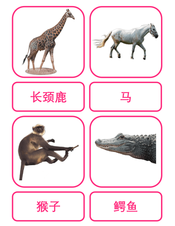 Chinese Flash Cards: Animals