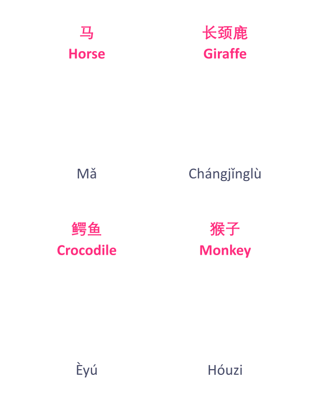 Chinese Flash Cards: Animals