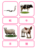 Chinese Flash Cards: Animals thumbnail 5