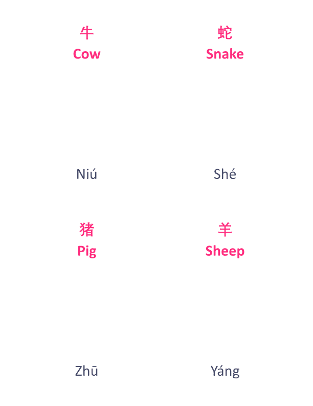 Chinese Flash Cards: Animals