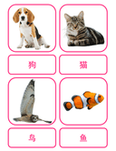 Chinese Flash Cards: Animals thumbnail 7