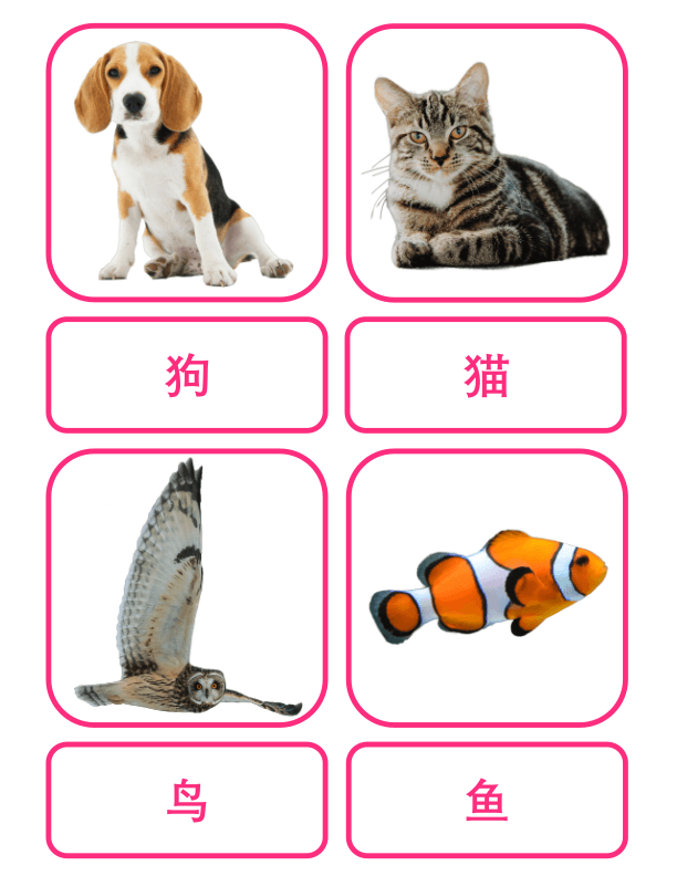 Chinese Flash Cards: Animals