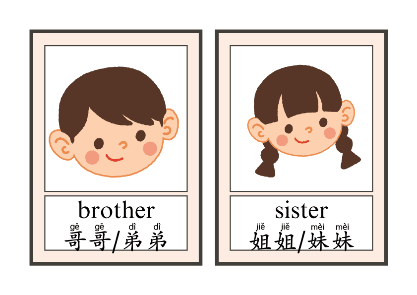 English-Chinese Family Members Flashcards