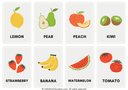 Fruits and Vegetables Flashcards thumbnail 1