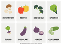 Fruits and Vegetables Flashcards thumbnail 3