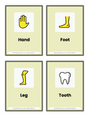 Kindergarten Body Parts Flash Cards thumbnail 2
