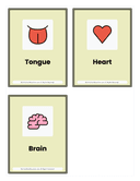 Kindergarten Body Parts Flash Cards thumbnail 3