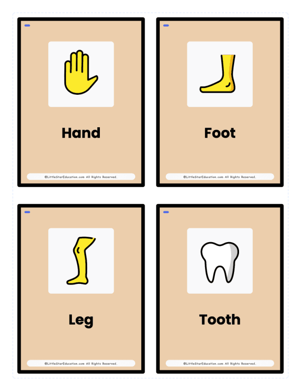Pre K Body Parts Flash Cards