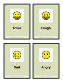 Pre K Emotions & Faces Flash Cards thumbnail 1
