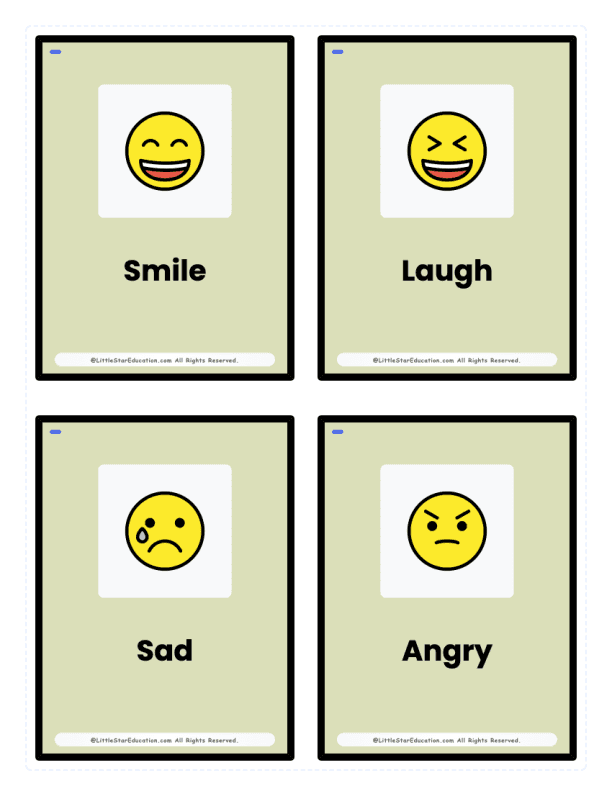 Pre K Emotions & Faces Flash Cards