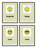 Pre K Emotions & Faces Flash Cards thumbnail 2