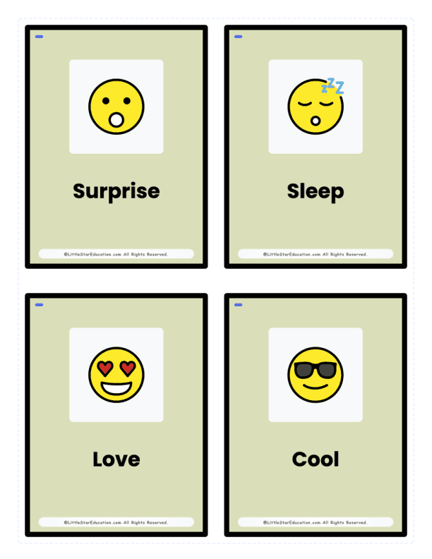 Pre K Emotions & Faces Flash Cards
