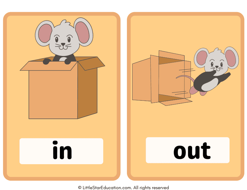 Prepositions Flashcards
