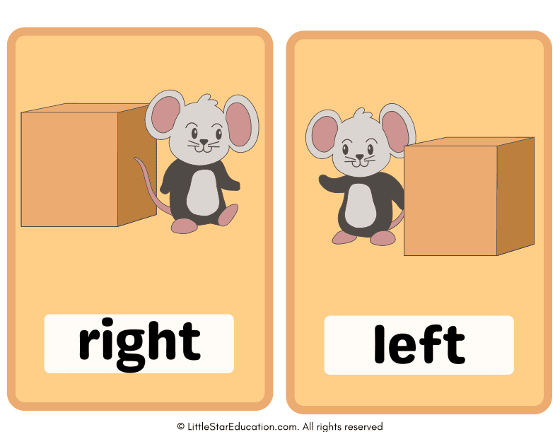 Prepositions Flashcards