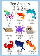 Chinese Pre School Posters 11 Themes thumbnail 10