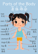 Chinese Pre School Posters 11 Themes thumbnail 6