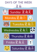 Chinese Pre School Posters 11 Themes thumbnail 7
