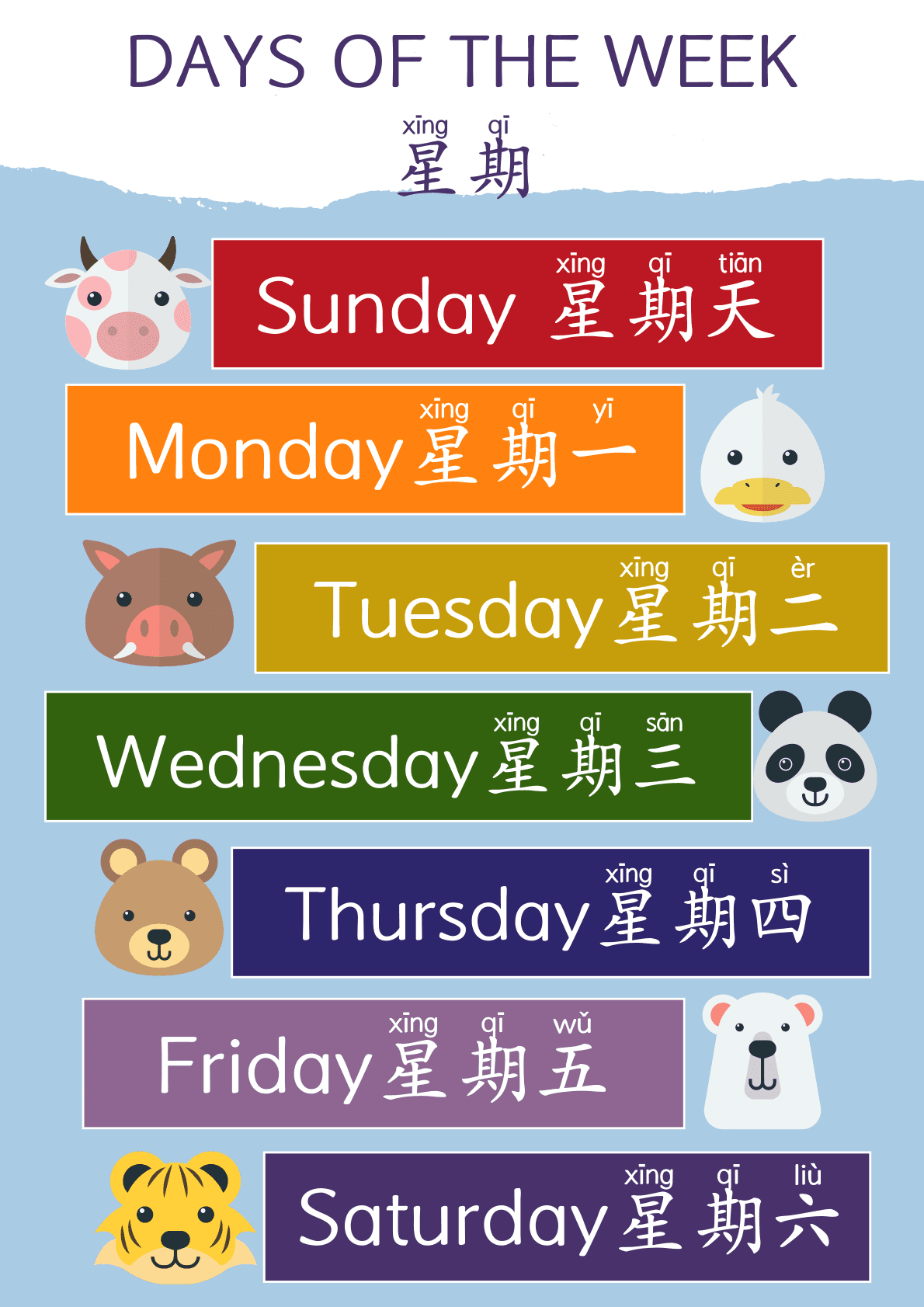 Chinese Pre School Posters 11 Themes