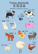 Chinese Pre School Posters 11 Themes thumbnail 9