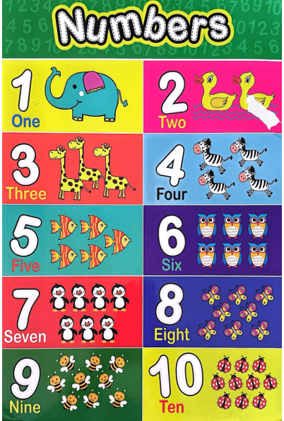 Early Learning Educational Posters Bundle