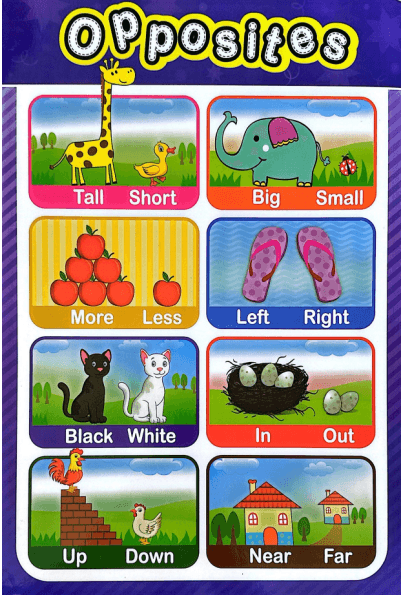 Early Learning Educational Posters Bundle