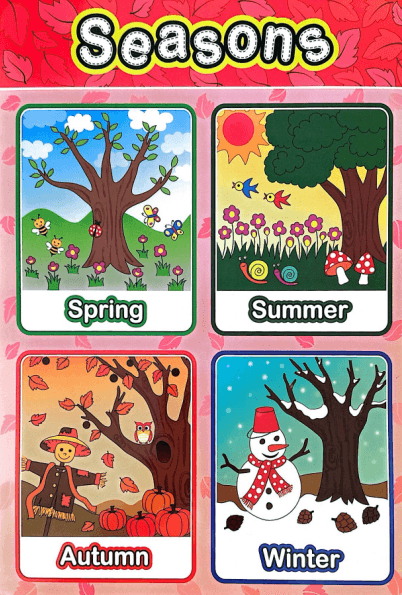 Early Learning Educational Posters Bundle