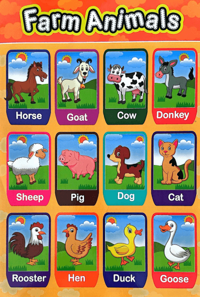 Early Learning Educational Posters Bundle