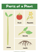Parts and Needs of a Plant Poster thumbnail 3