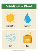 Parts and Needs of a Plant Poster thumbnail 4