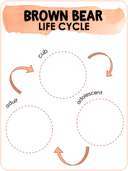 Bear Life Cycle Activities & Workbook for Students thumbnail 12