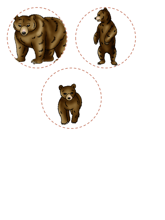 Bear Life Cycle Activities & Workbook for Students