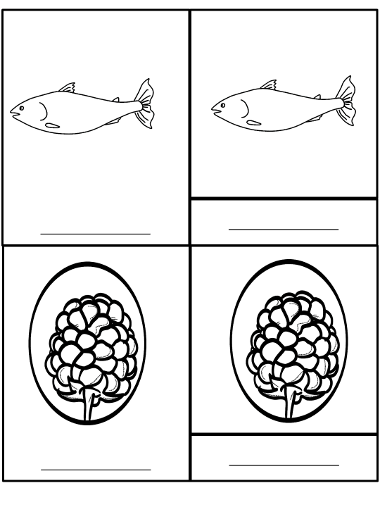 Bear Life Cycle Activities & Workbook for Students