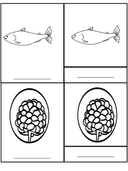 Bear Life Cycle Activities & Workbook for Students thumbnail 18