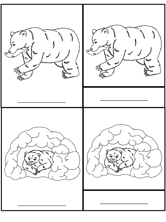 Bear Life Cycle Activities & Workbook for Students