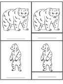 Bear Life Cycle Activities & Workbook for Students thumbnail 20