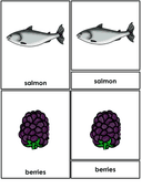 Bear Life Cycle Activities & Workbook for Students thumbnail 6