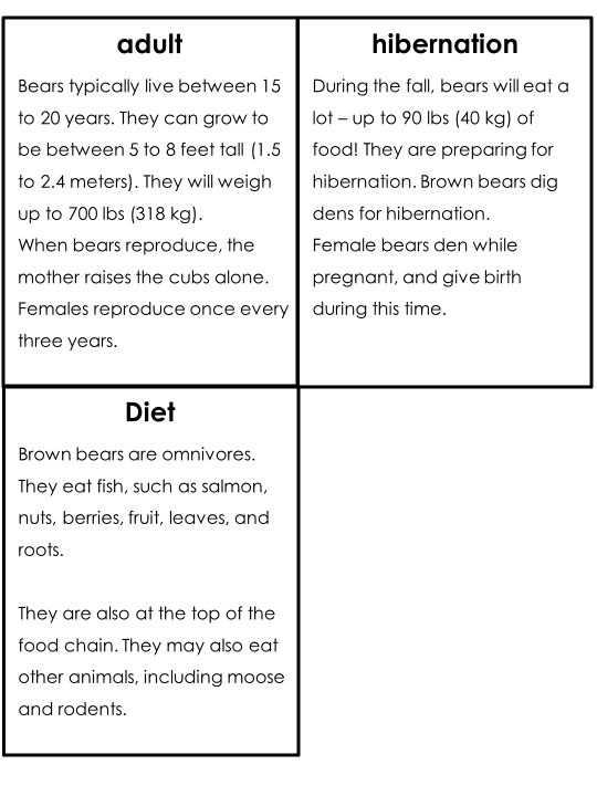 Bear Life Cycle Activities & Workbook for Students