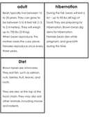 Bear Life Cycle Activities & Workbook for Students thumbnail 8