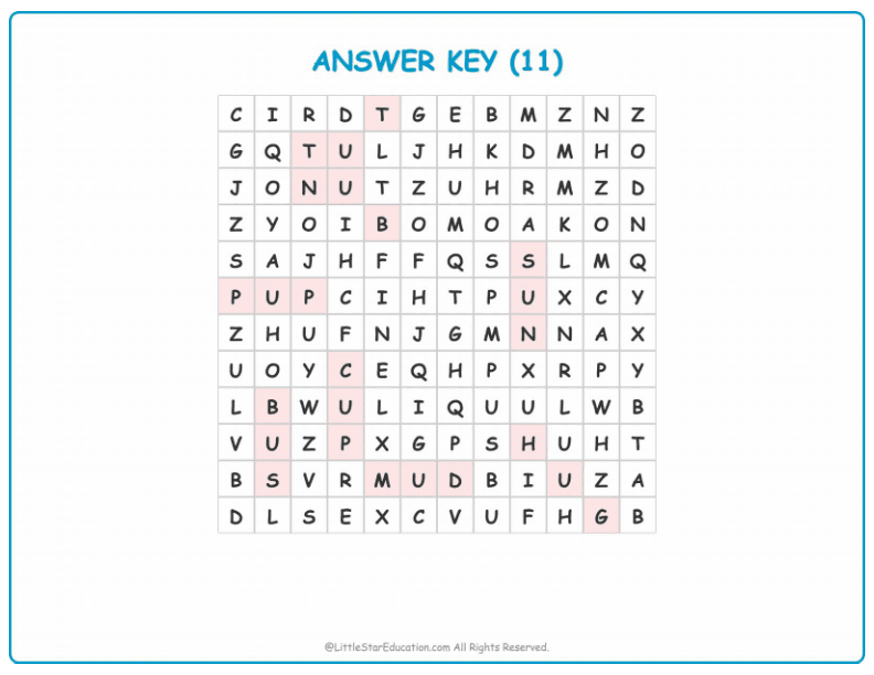 CVC Word Search – Short “u” Sound Words for Kids