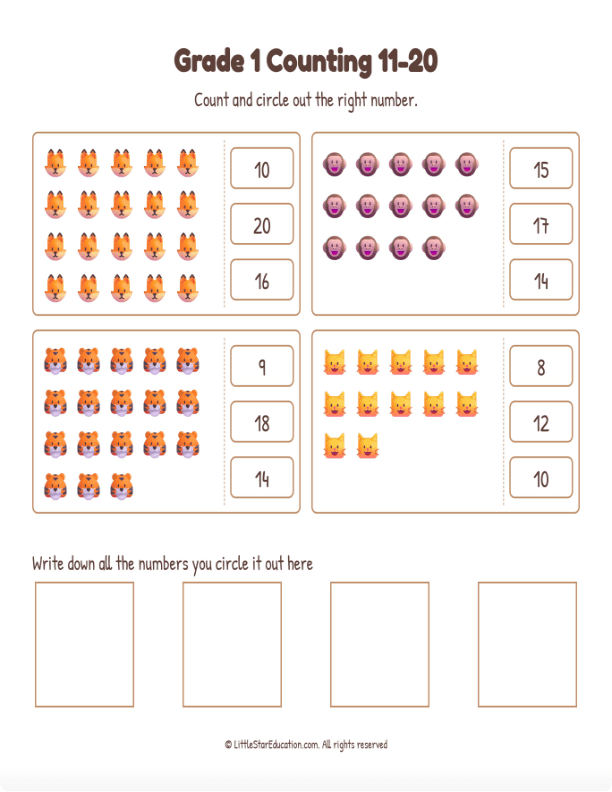 Grade 1 Counting 11 to 20 Workbook