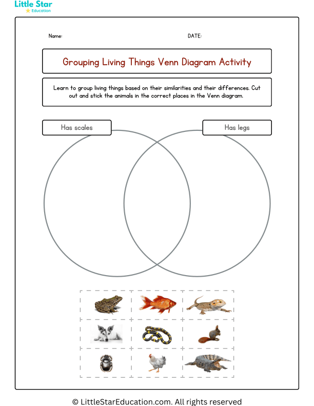 Grouping Animals Venn Diagram Worksheets