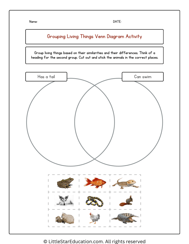 Grouping Animals Venn Diagram Worksheets