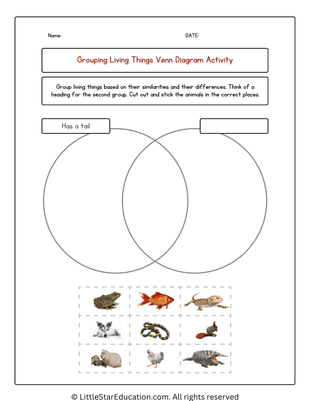 Grouping Animals Venn Diagram Worksheets
