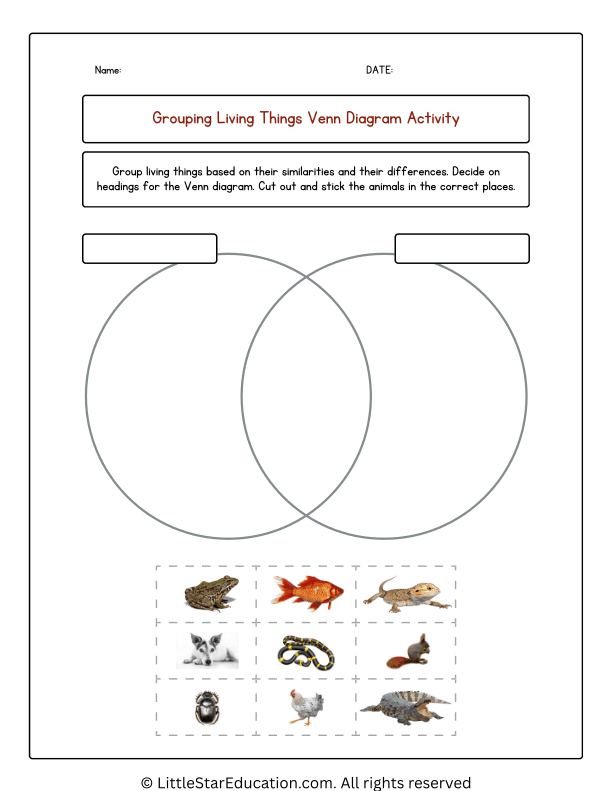 Grouping Animals Venn Diagram Worksheets