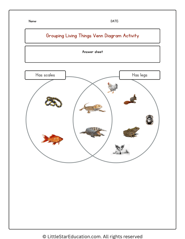 Grouping Animals Venn Diagram Worksheets