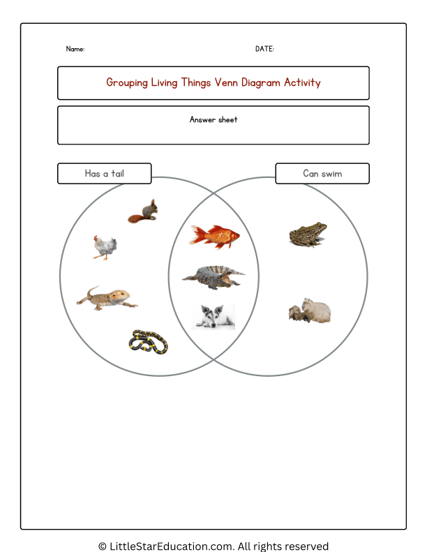 Grouping Animals Venn Diagram Worksheets