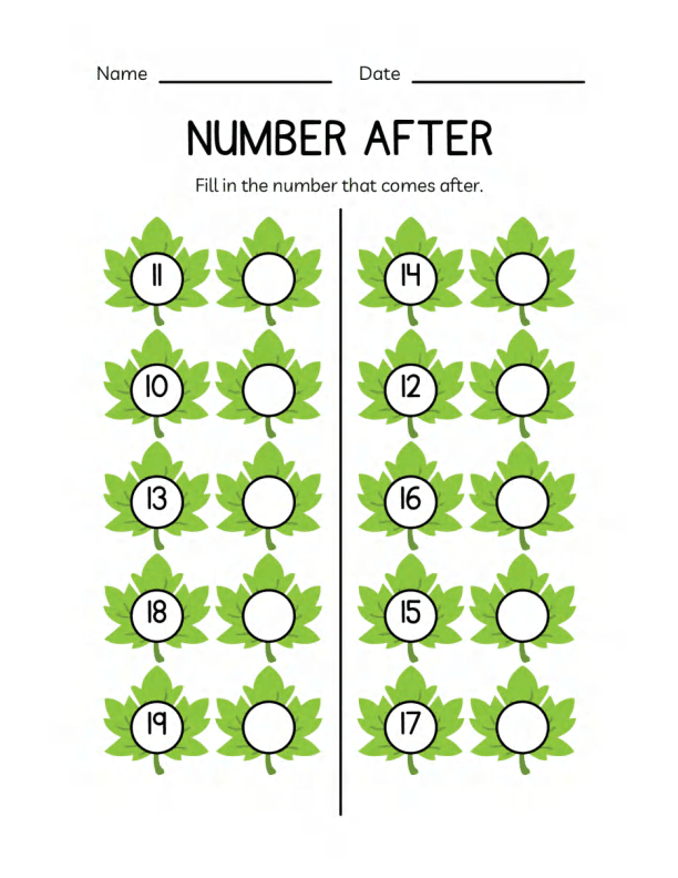 Math Numbers Workbook