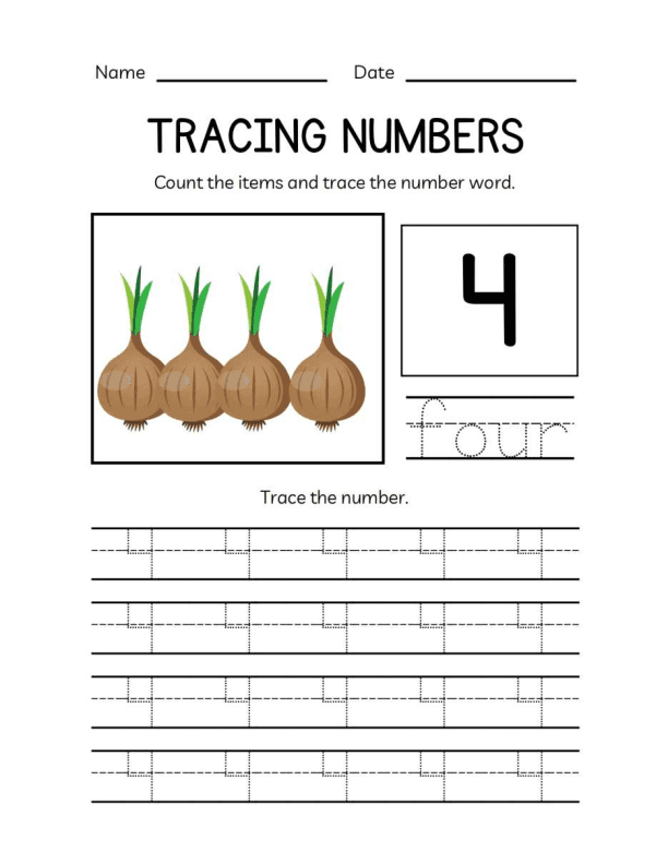 Math Numbers Workbook